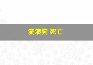 流浪狗 死亡